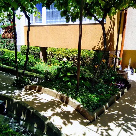 Laura アパート プリモルスコ